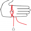 hand 7